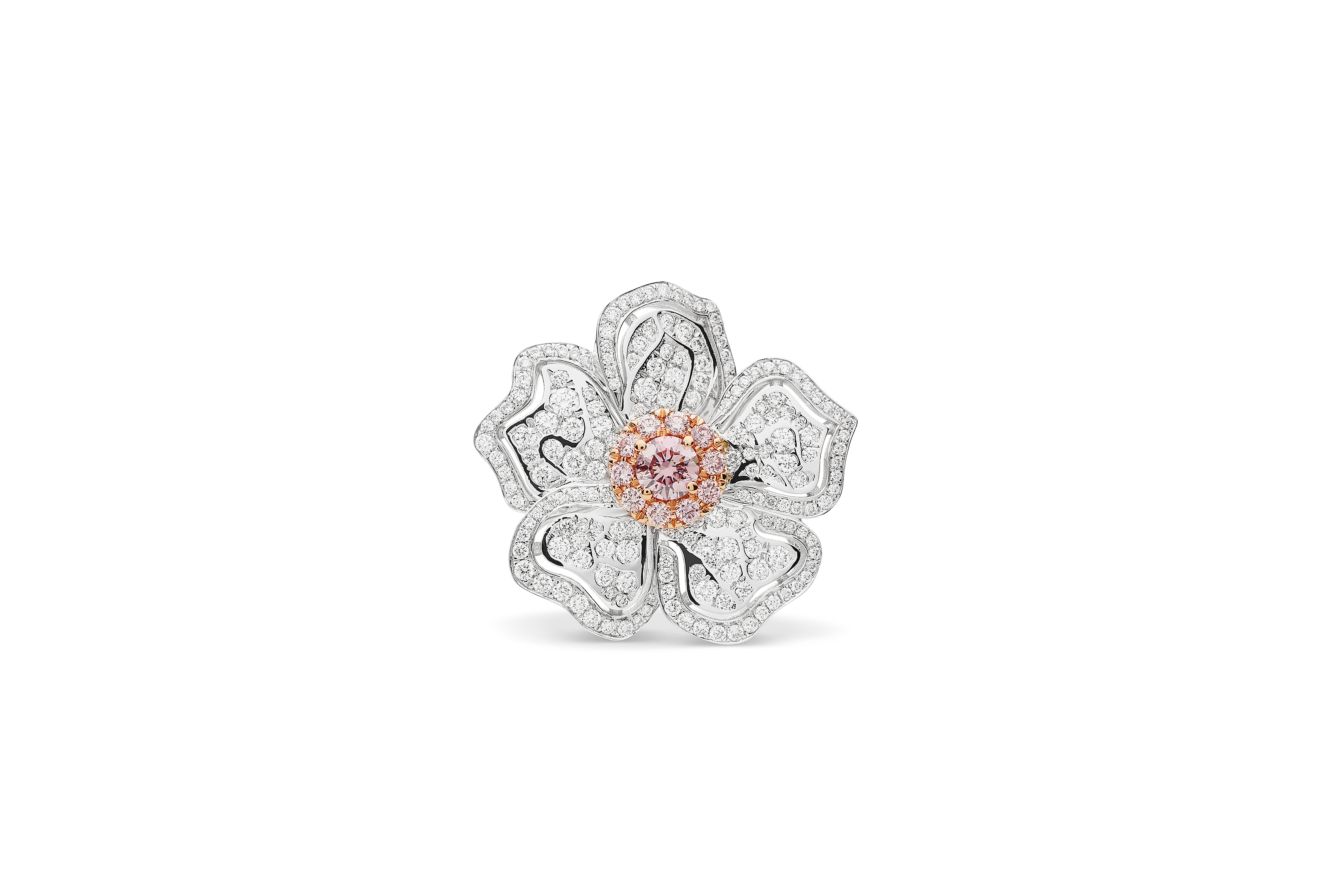 Dress Rings