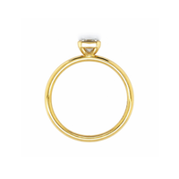 Alayna Emerald Cut Engagement Ring