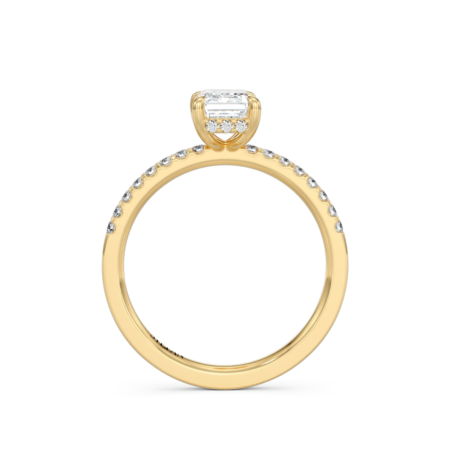 Bianca Emerald Cut Engagement Ring