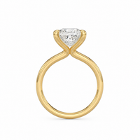 Evie Princess Cut Engagement Ring